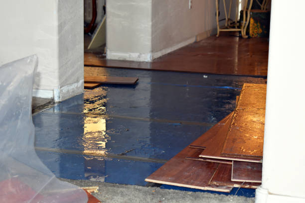 Professional Flood Cleanup technician working in Girard, IL